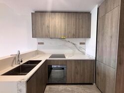 Leedon Green (D10), Condominium #465358501